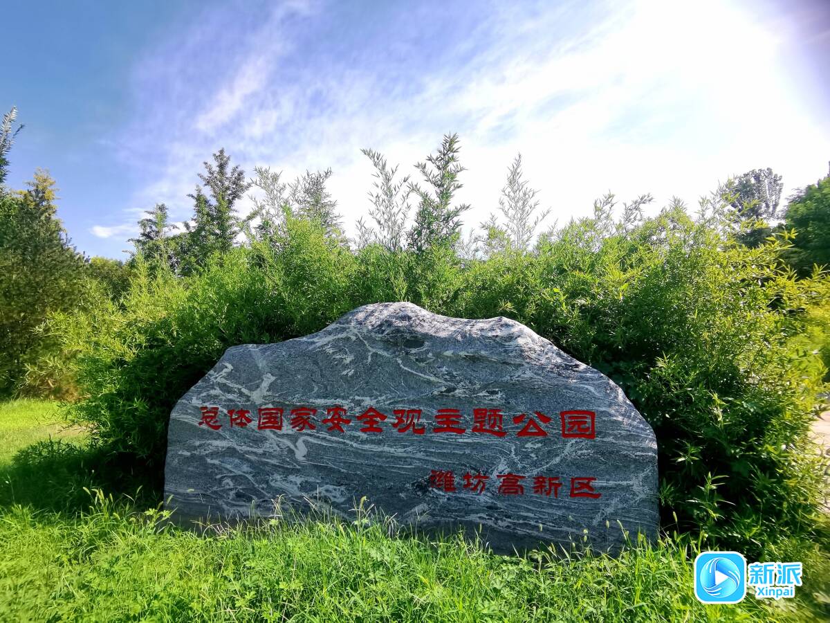 严重违纪违法！职校招